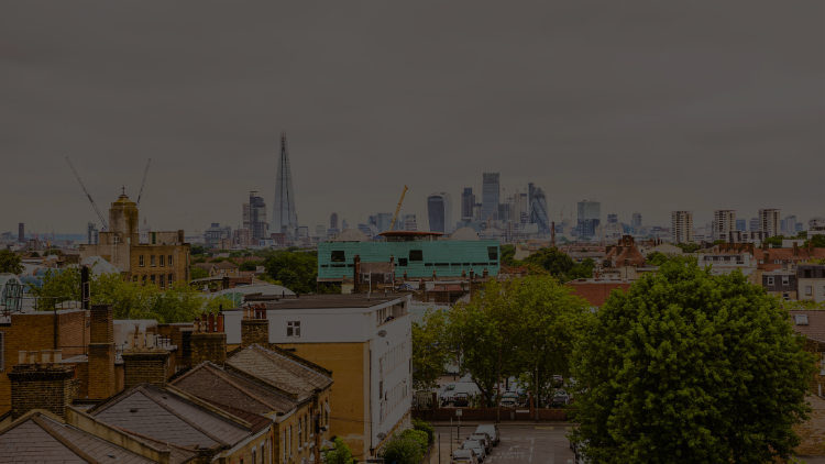 Denmark Hill Image