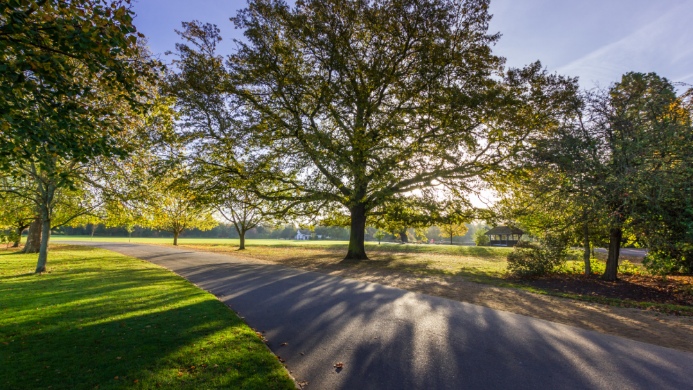 An Urban Village: Why we love...Dulwich