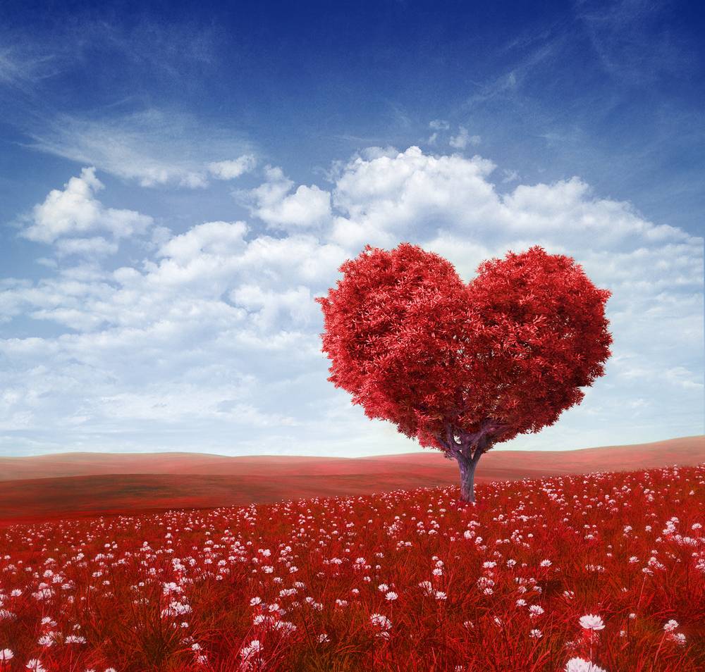 UVH Blog - SELLING? FIVE WAYS TO SHOW YOUR HOUSE SOME LOVE